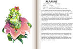 alraune monster_girl_encyclopedia // 900x600 // 153.0KB