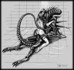 Vaginal Xenomorph alien brown_hair kneeling monochrome monster rape uncensored willing // 850x806 // 90.3KB